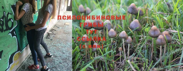 ГАЛЛЮЦИНОГЕННЫЕ ГРИБЫ Няндома