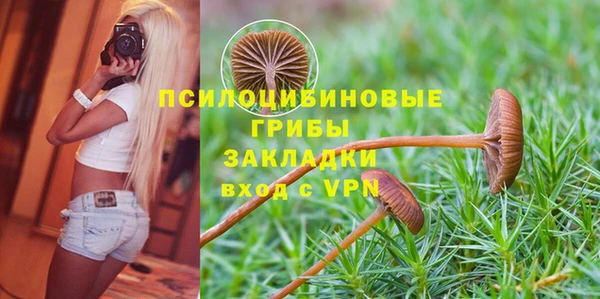 ALPHA-PVP Нязепетровск