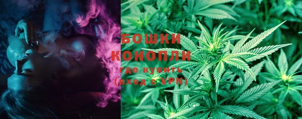 ГАЛЛЮЦИНОГЕННЫЕ ГРИБЫ Няндома
