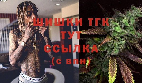 ГАЛЛЮЦИНОГЕННЫЕ ГРИБЫ Няндома