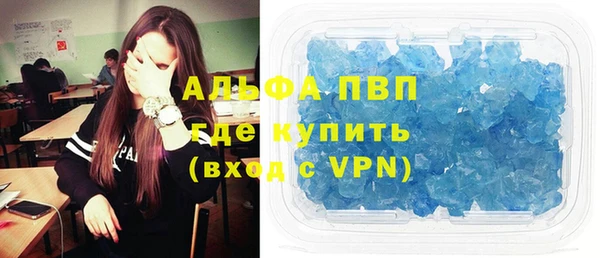 ГАЛЛЮЦИНОГЕННЫЕ ГРИБЫ Няндома